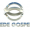 TV Rede Gospel